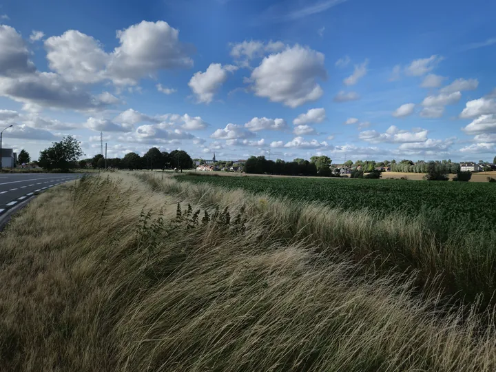 Bellegem, West-Vlaanderen (Belgium)